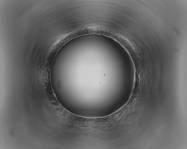 X0000112770776200908271640
