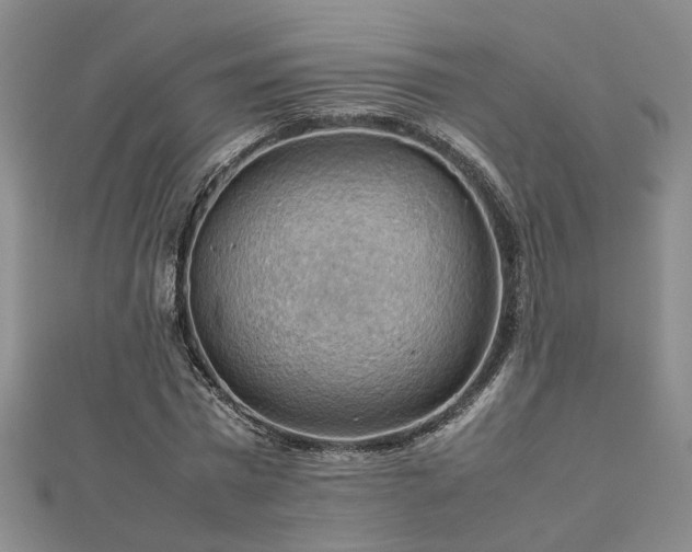 X0000112770777200908271640
