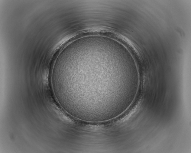 X0000112770778200908271640