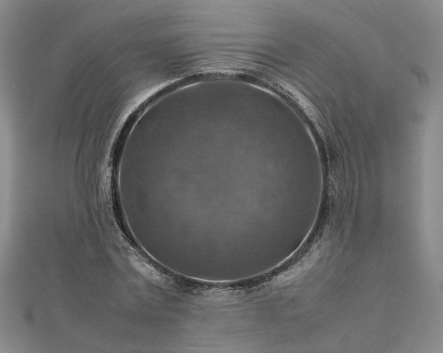 X0000112770779200908271640