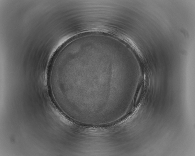 X0000112770780200908271640
