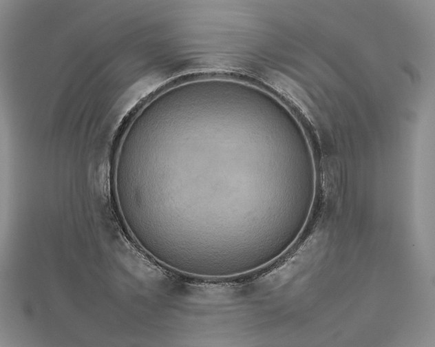 X0000112770781200908271640