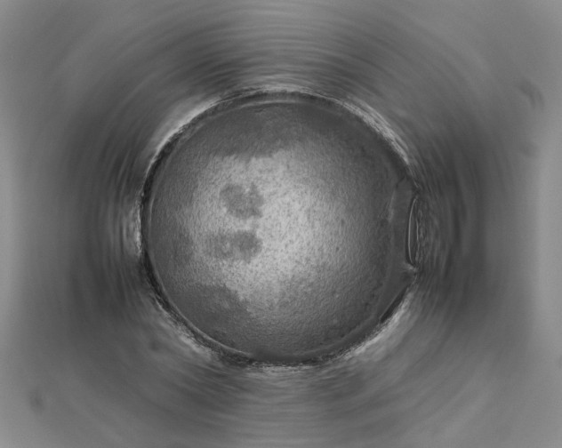 X0000112770782200908271640