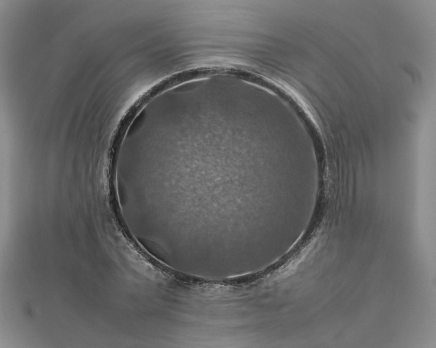 X0000112770783200908271640
