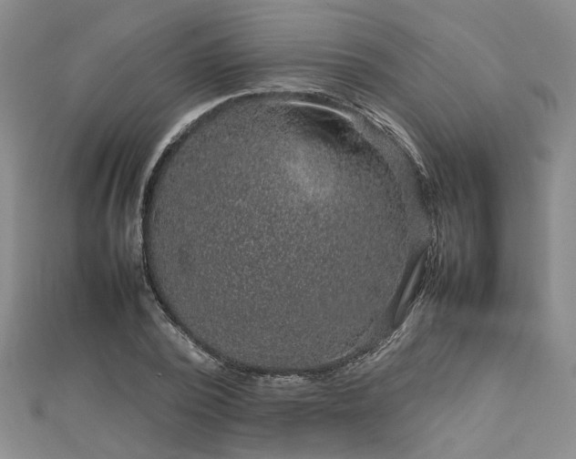 X0000112770784200908271640