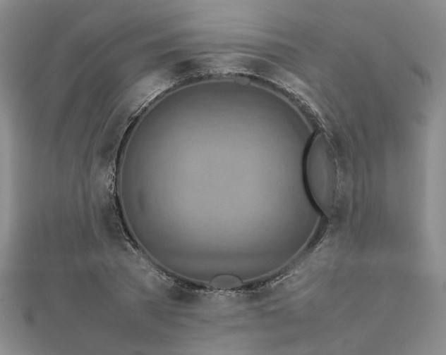 X0000112770785200908271640