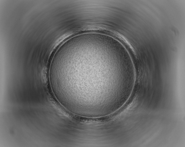 X0000112770786200908271640