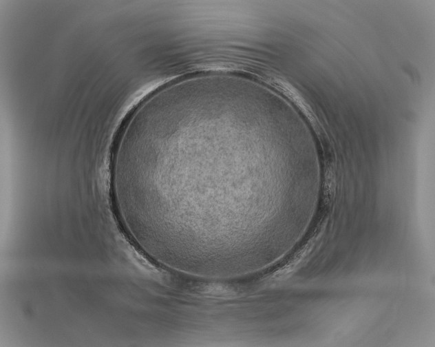 X0000112770787200908271640