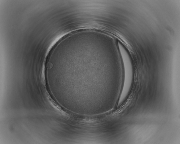 X0000112770788200908271640