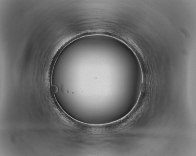X0000112770789200908271640