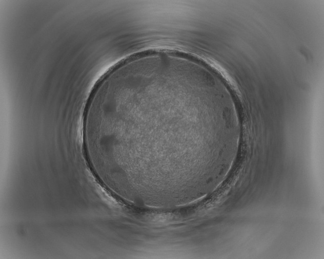 X0000112770791200908271640