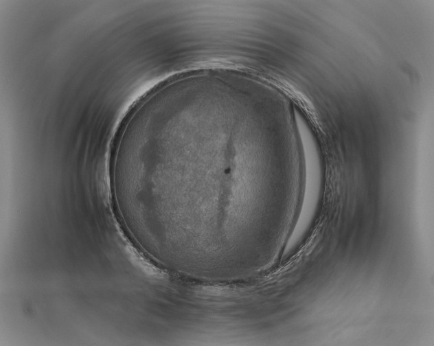 X0000112770792200908271640