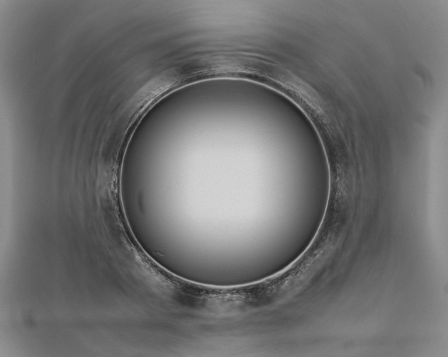 X0000112770793200908271640