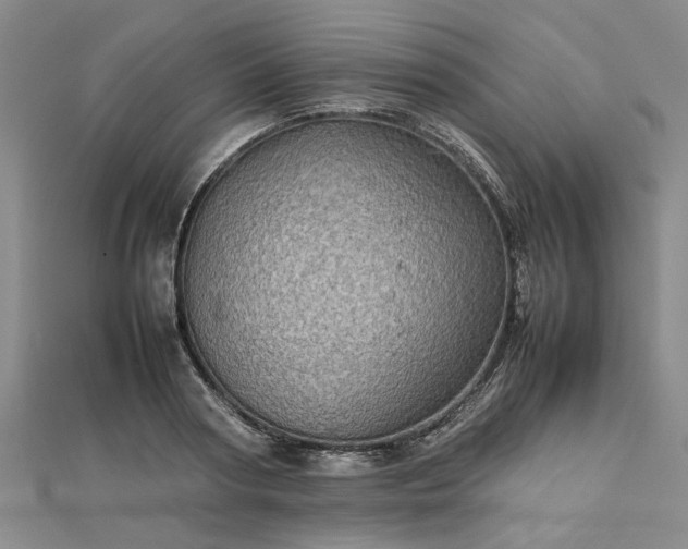 X0000112770794200908271640