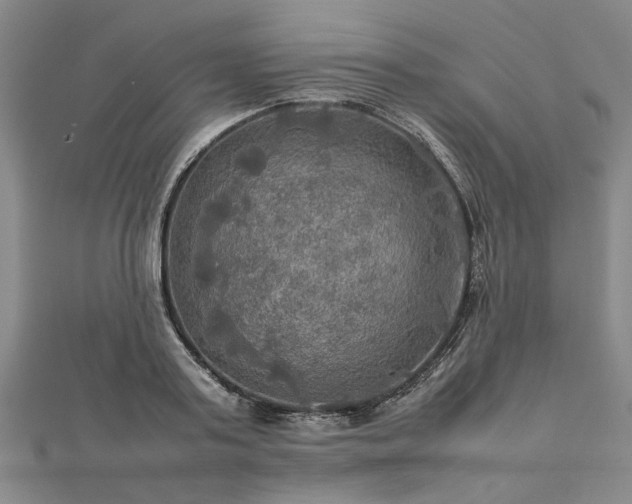X0000112770795200908271640