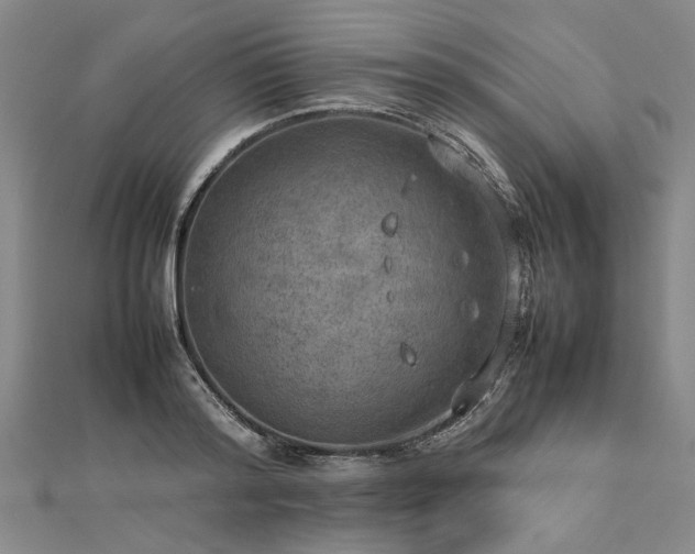 X0000112770796200908271640