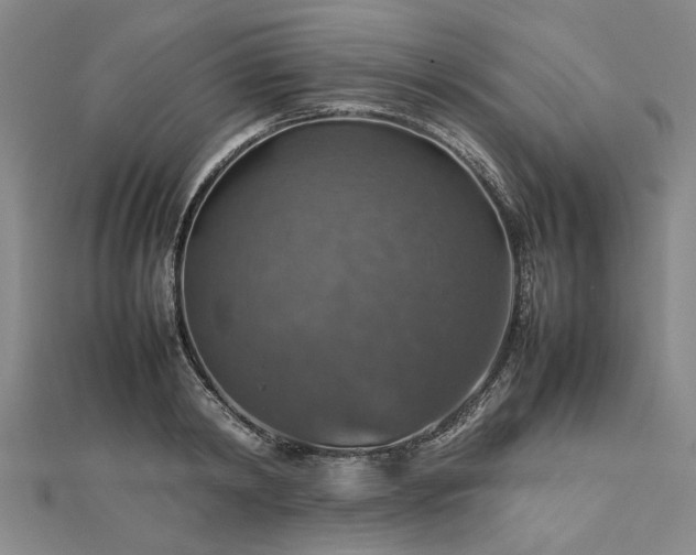 X0000112770798200908271640
