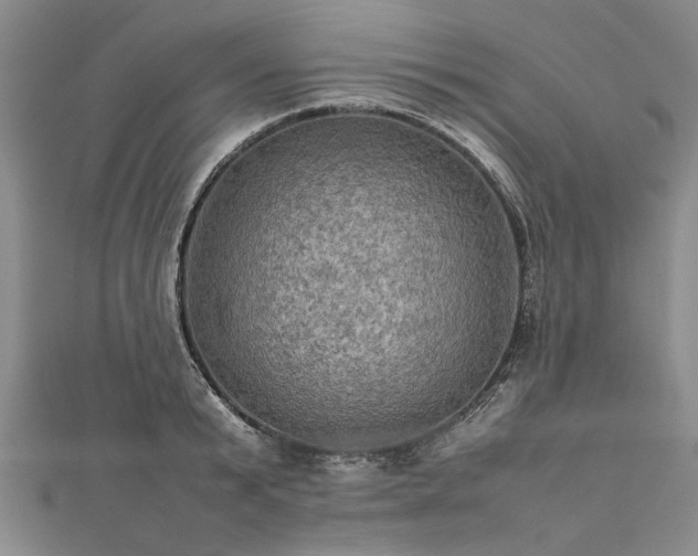 X0000112770799200908271640