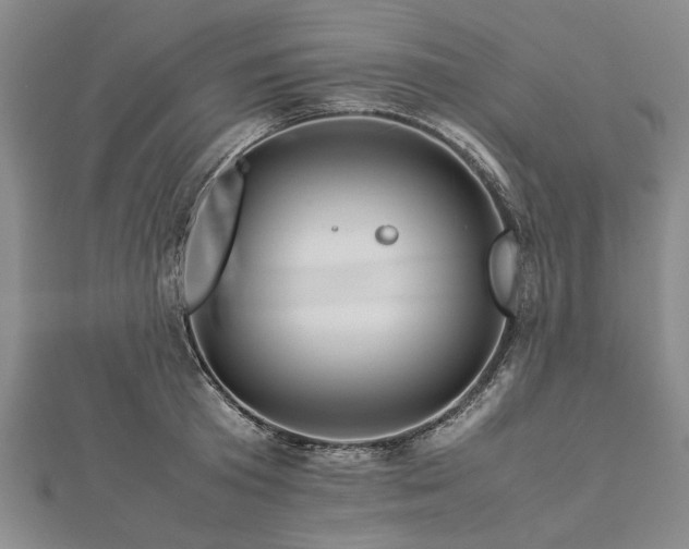 X0000112770801200908271640