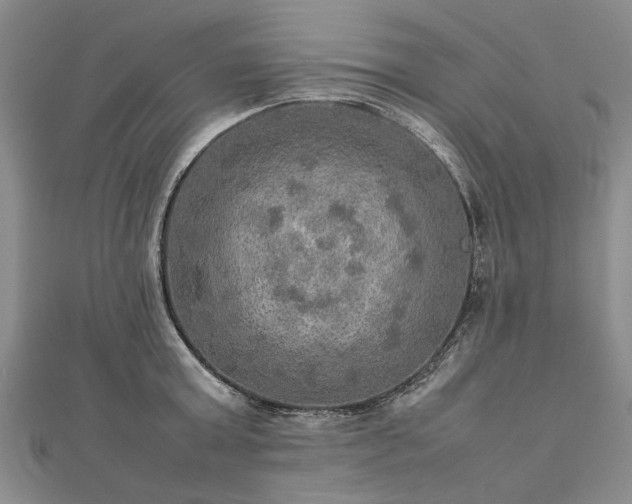 X0000112770803200908271640