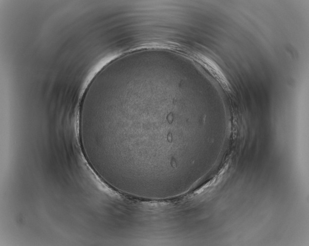 X0000112770804200908271640