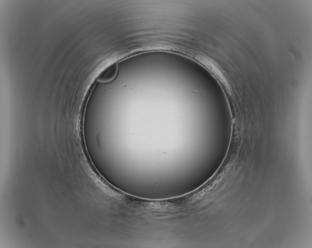 X0000112770805200908271640