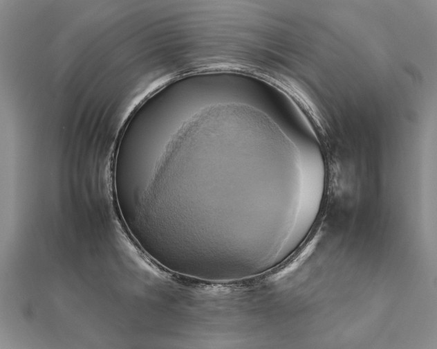 X0000112770806200908271640