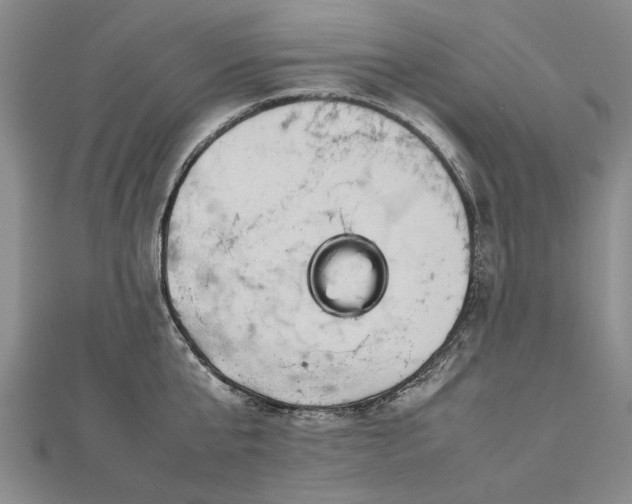 X0000112770807200908271640