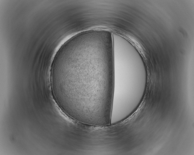 X0000112770808200908271640