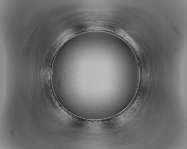 X0000112770809200908271640