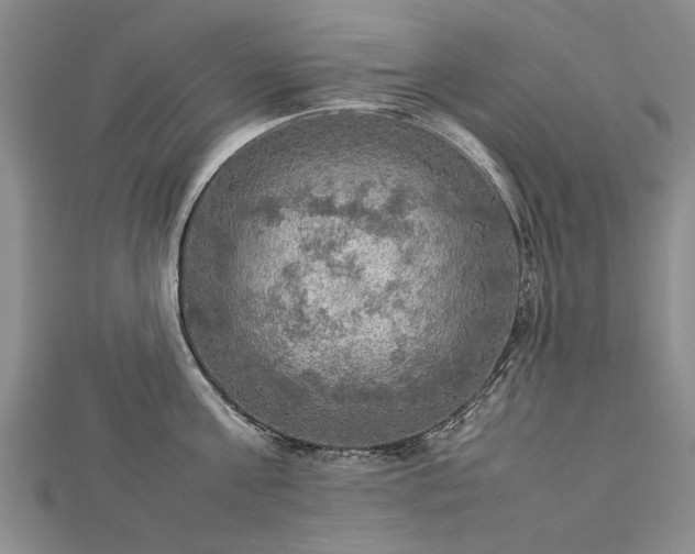 X0000112770811200908271640