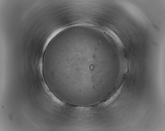 X0000112770812200908271640