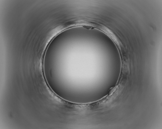 X0000112770813200908271640