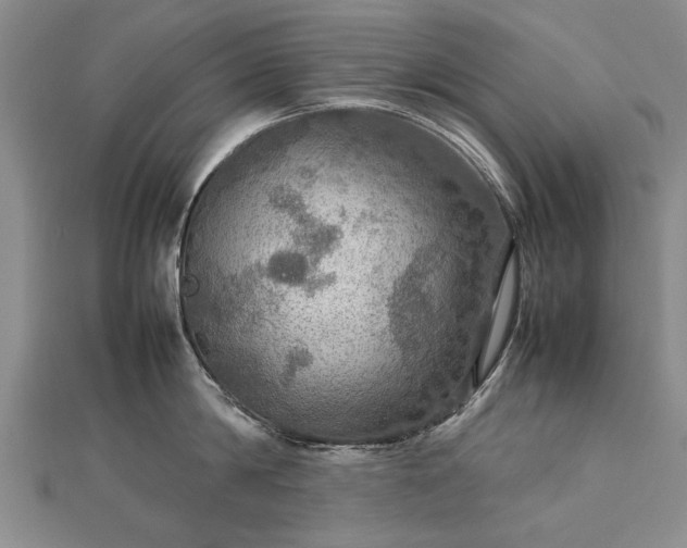 X0000112770814200908271640