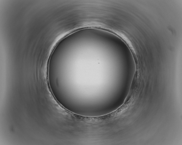 X0000112770815200908271640
