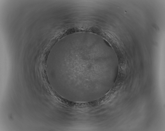 X0000112770817200908271639