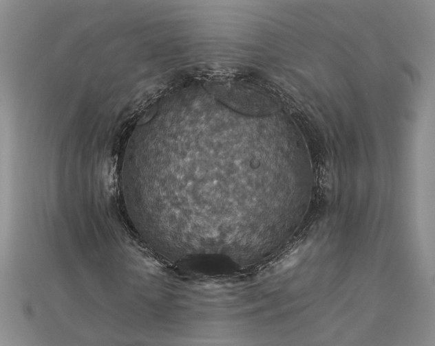 X0000112770818200908271639