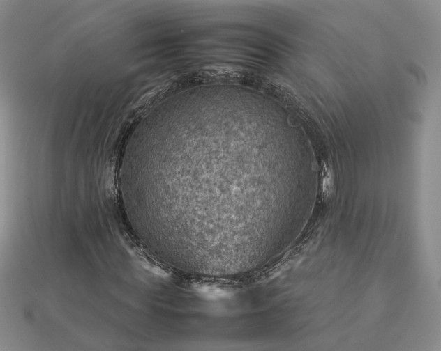 X0000112770819200908271639