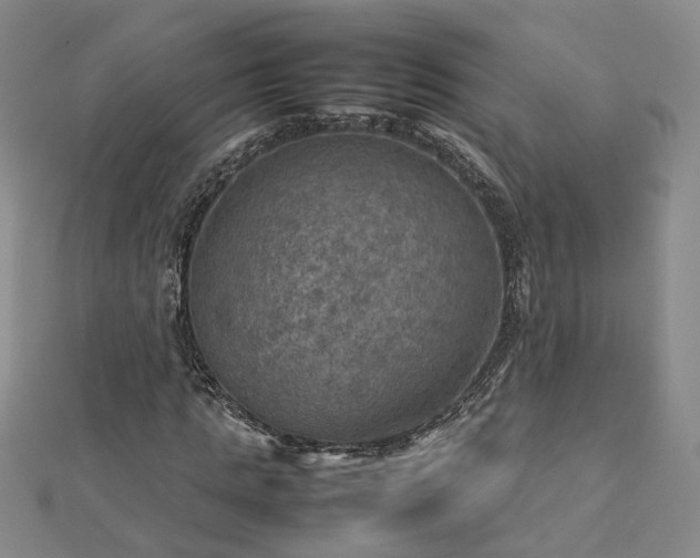 X0000112770821200908271639