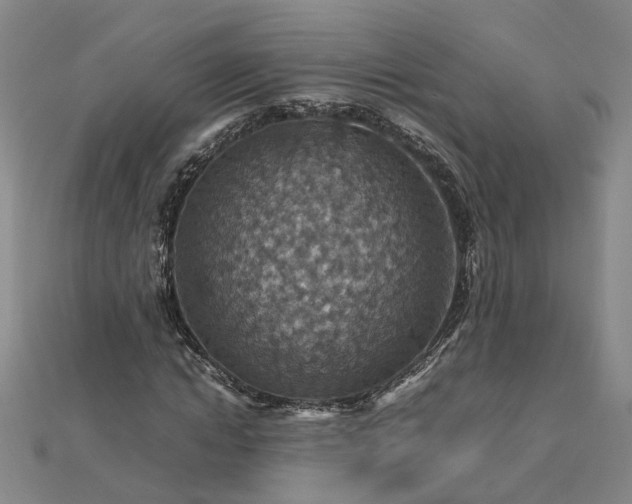X0000112770822200908271639