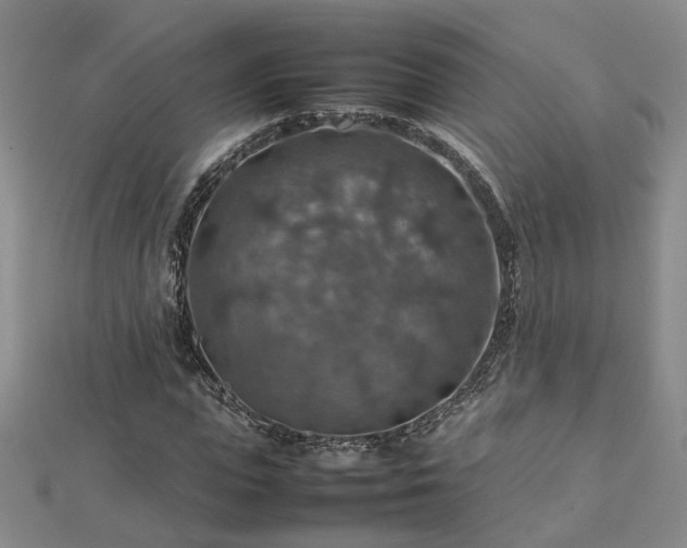 X0000112770823200908271639