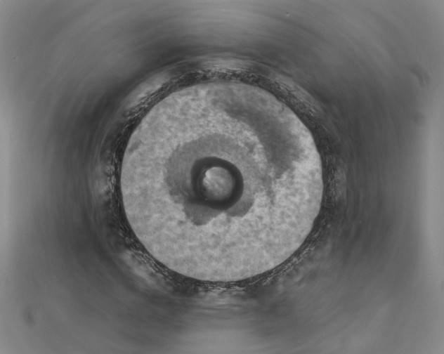 X0000112770824200908271639