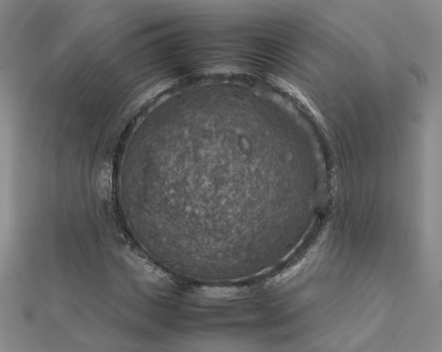X0000112770825200908271639