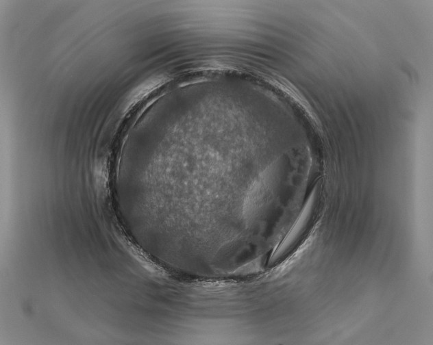 X0000112770826200908271639