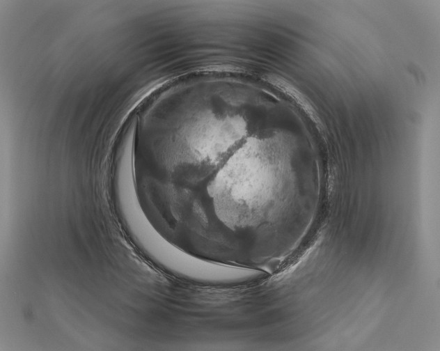 X0000112770829200908271639