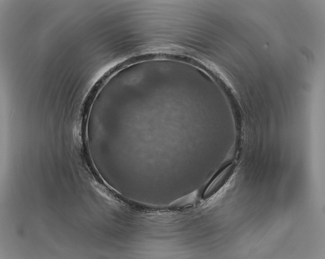 X0000112770830200908271639