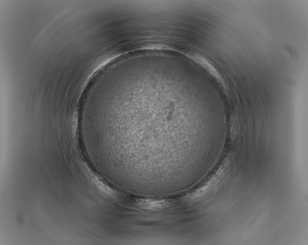 X0000112770831200908271639