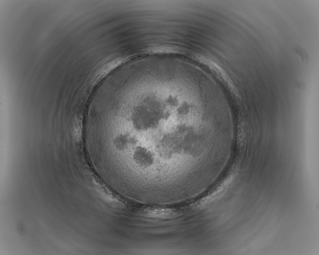 X0000112770833200908271639