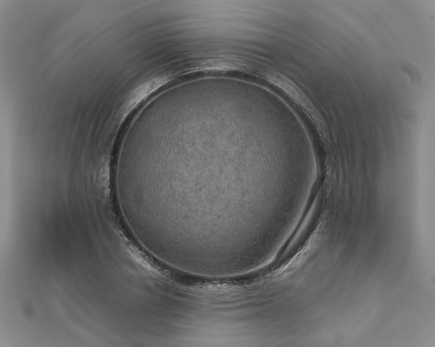 X0000112770834200908271639