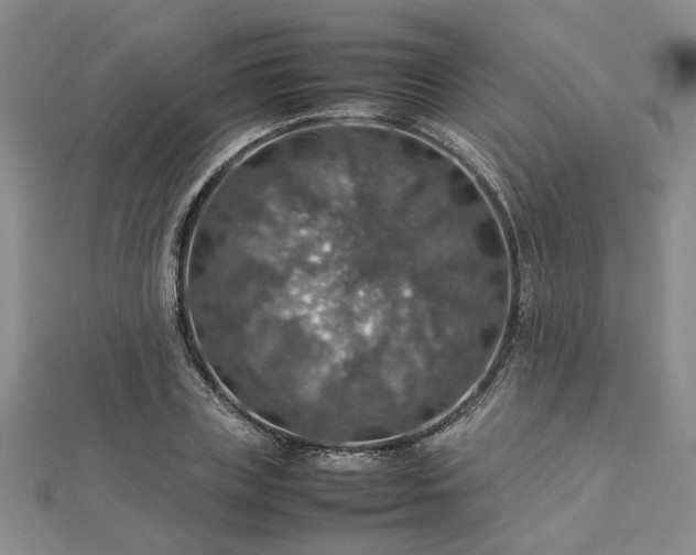 X0000112770835200908271639